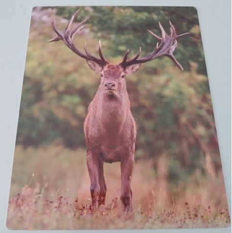 Plaque alu cerf