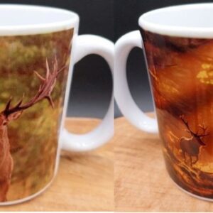 Mug cerfs, chasse, passioné, foret