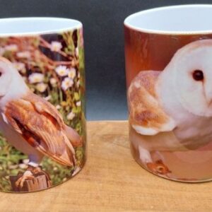 Mug chouette effraie
