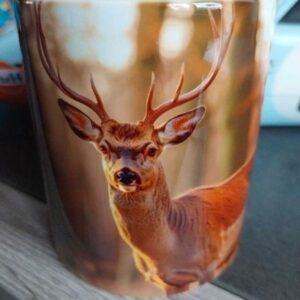 Mug biche, cerf, forêt chasse