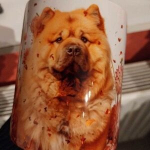 Mug Chow-chow